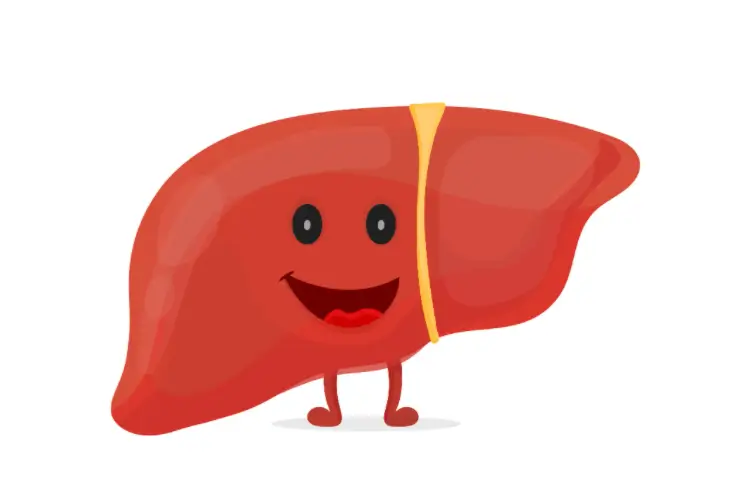 S-乙酰-L-谷胱甘肽如何护肝