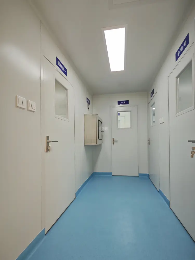 台州凌峰生物科技有限公司洁净室