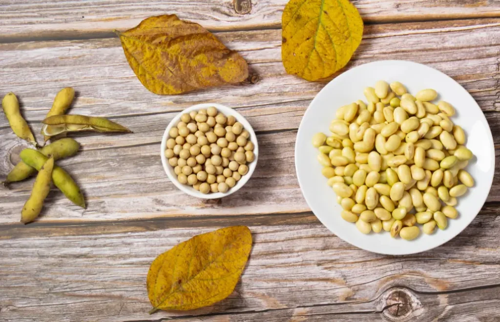 磷脂酰丝氨酸的酶催化生产工艺解析