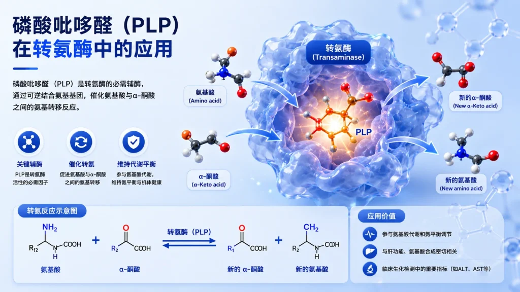 磷酸吡哆醛（PLP）参与的席夫碱反应