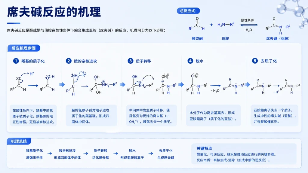 PLP的席夫碱反应