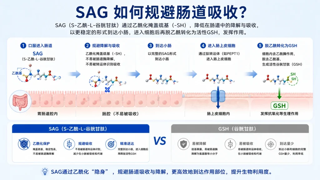乙酰谷胱甘肽 25KG每桶